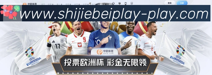 奖项证书