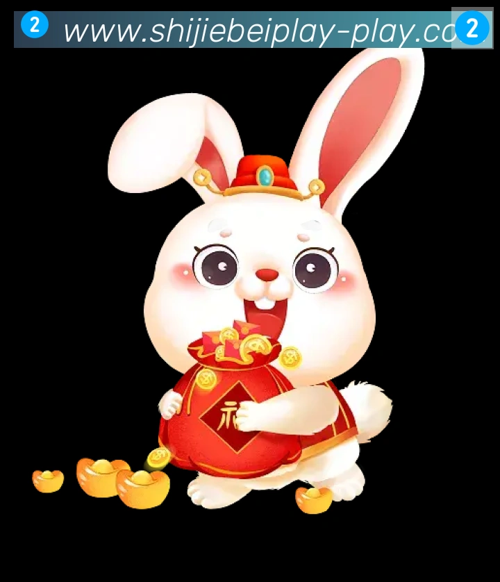 奖项证书